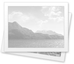 В шахтинском центральном парке все-таки установят елку из живых веток