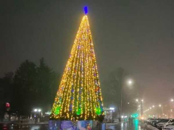 В Шахтах новогодняя ёлка снова будет установлена на площади Ленина